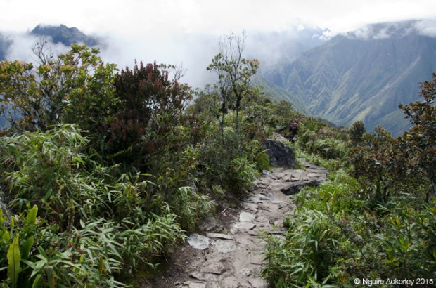 Stairs at top of Machu Picchu Mountain