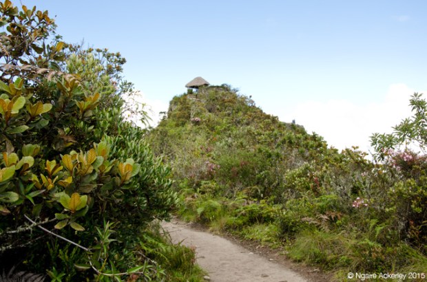 View near the top of Machu Picchu Mountain