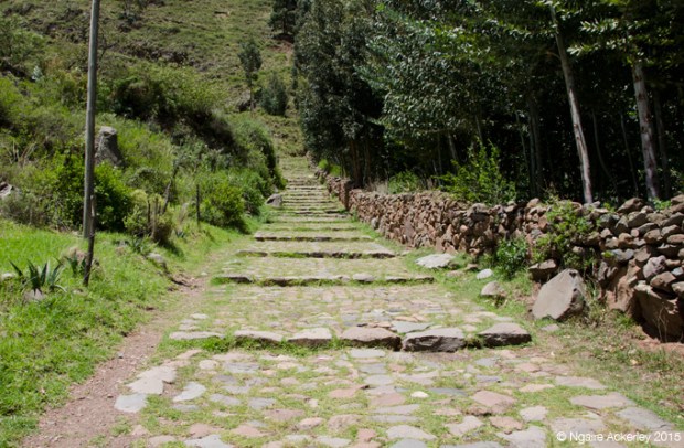 start of the hike up to the ruins, doesn't look so bad...