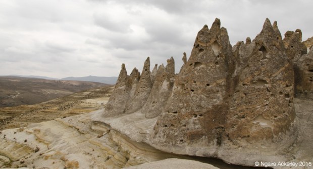 Stone Forest