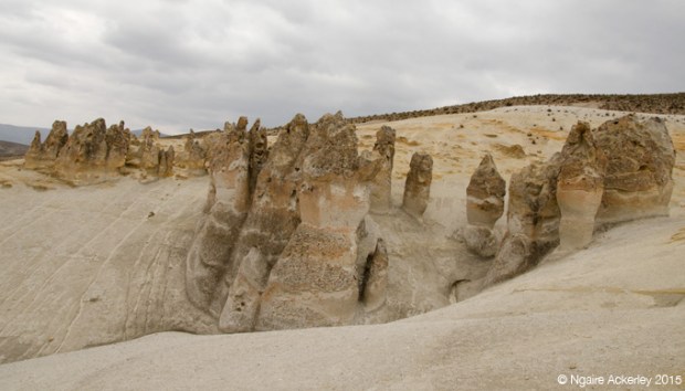 Stone Forest