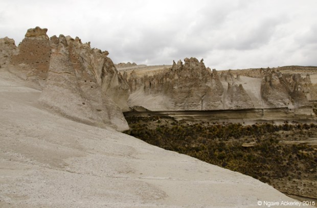 Stone Forest