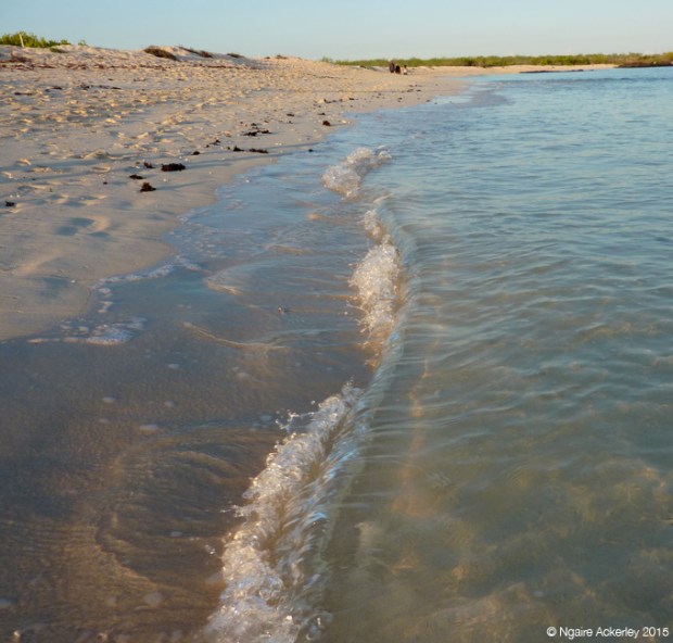 Bachas Beach, Baltra