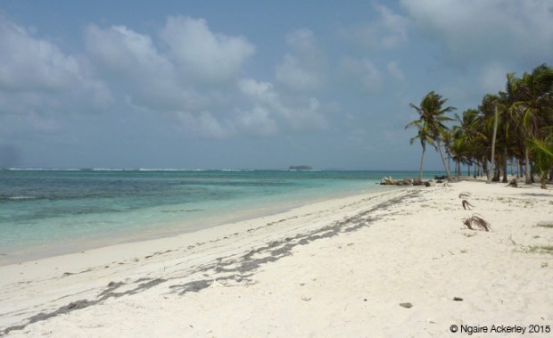 Beach on an island in the San Blas