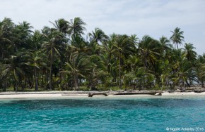 An island in the San Blas
