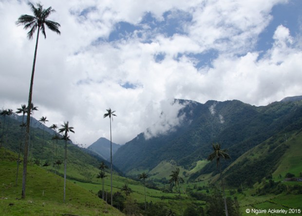 Valle de Cocora
