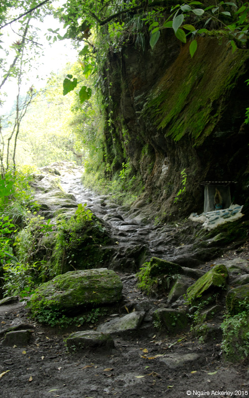 Rocky path in Valle de Cocora