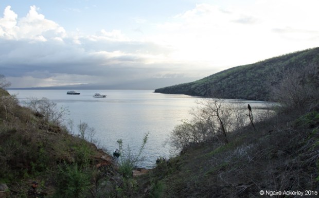 Tagus Cove, Isabela Island (view of our boat and the National Geographic one)