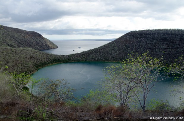 Crater Lake at Tagus Cove, Isabela Island