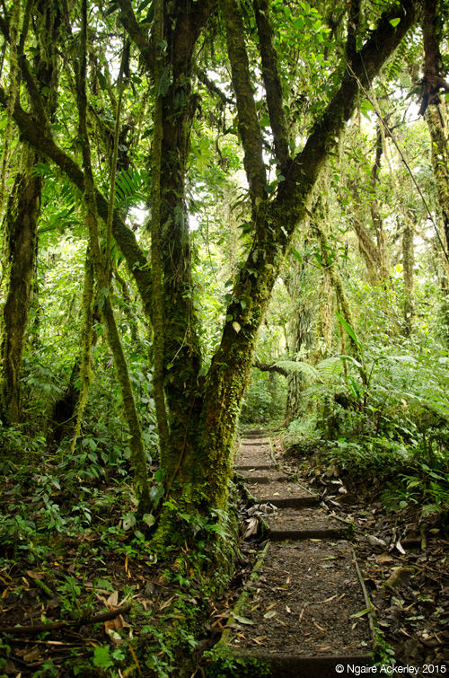 Santa Elena National Park