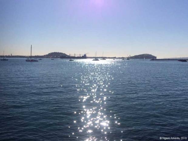 Auckland harbour - blue sky days in winter