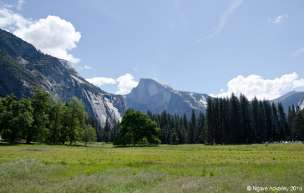 Half Dome, Yosemite Valley Floor - the first shot I took when I arrived