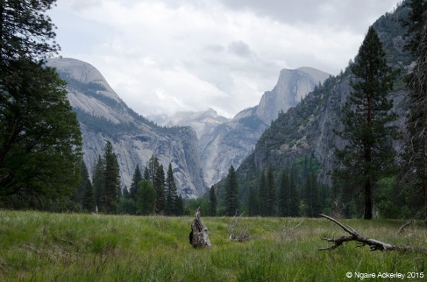 Valley Floor Loop trail, Yosemite National Park