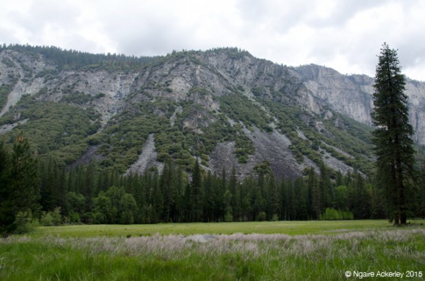 River in Yosemite National Park
