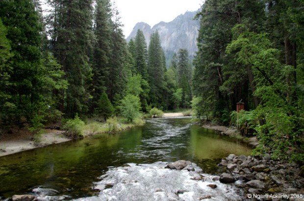 View from Pohono Bridge, Yosemite National Park