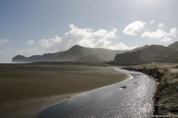 Piha black sand beach