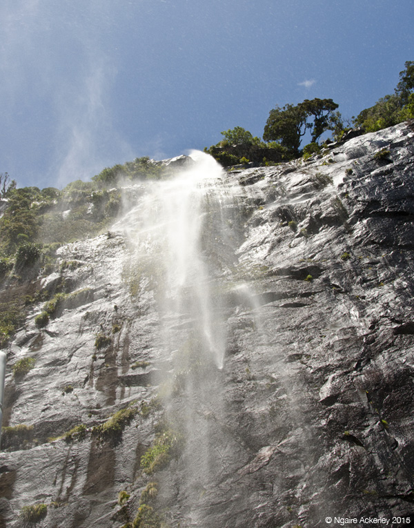 Waterfall in Milford Sound