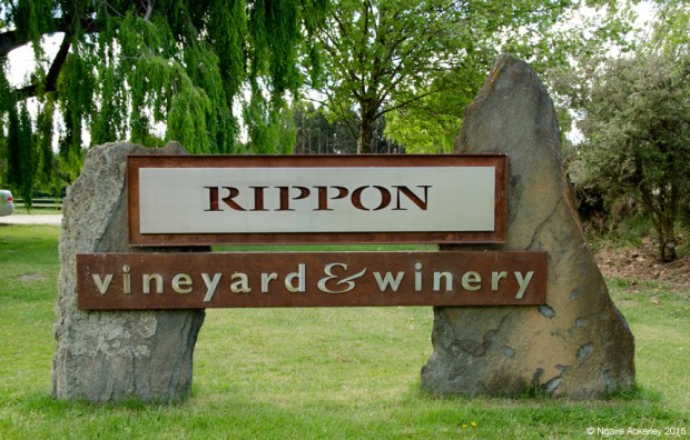 Rippon vineyard and winery