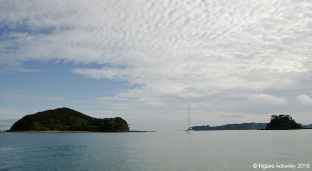 View of the Bay of Islands from the beach in Paihia