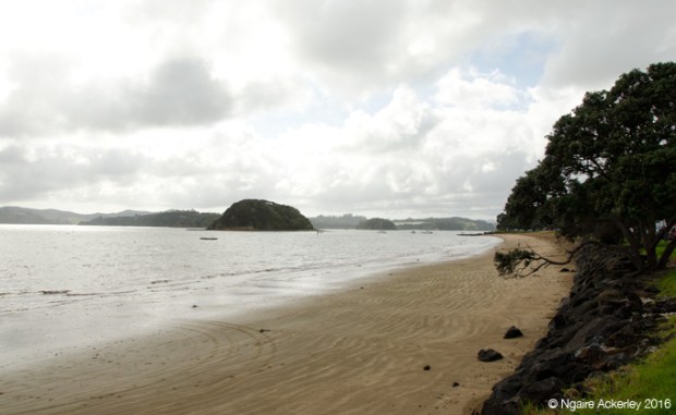 Paihia - perfect fish n' chip spot