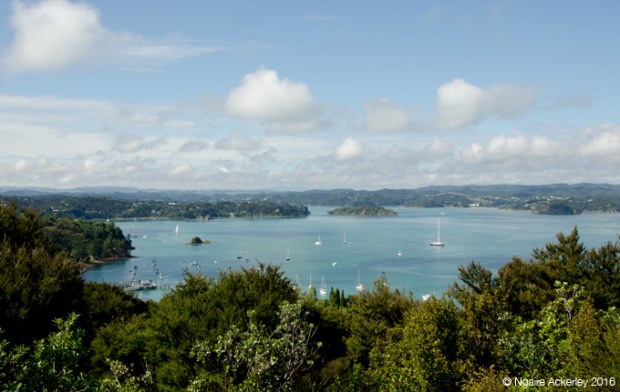 View of the Bay of Islands, Flagstaff Hill