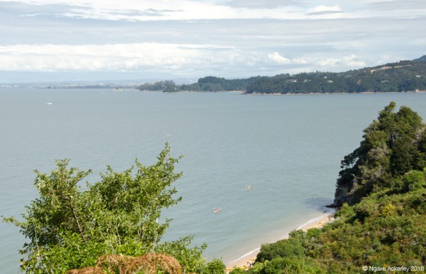 Beach spot, Abel Tasman National Park