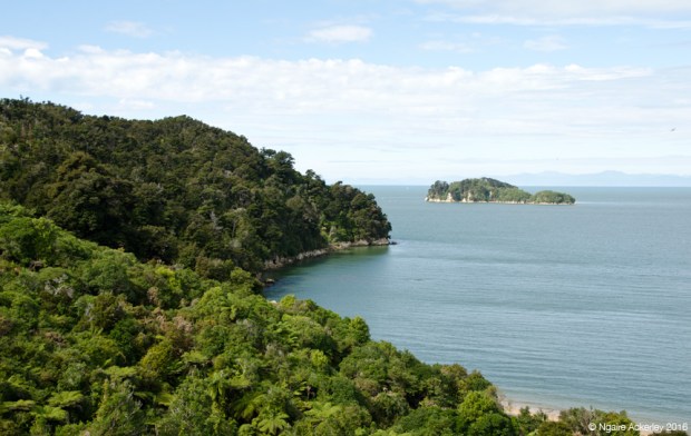 Abel Tasman National Park
