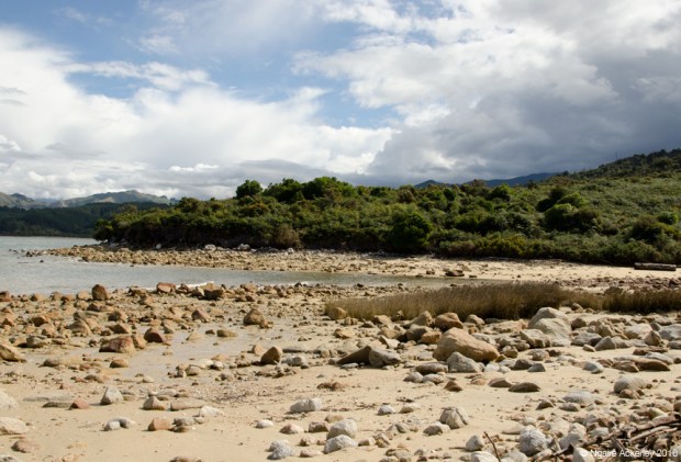 Abel Tasman National Park