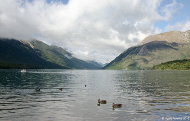 Ducks at Nelson Lakes