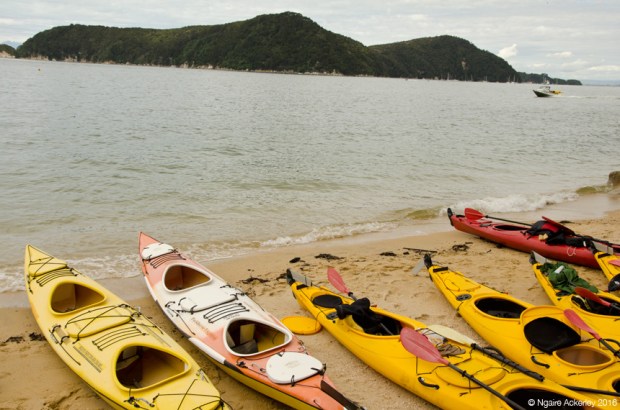 Kayaks at our lunch spot Abel Tasman National Park