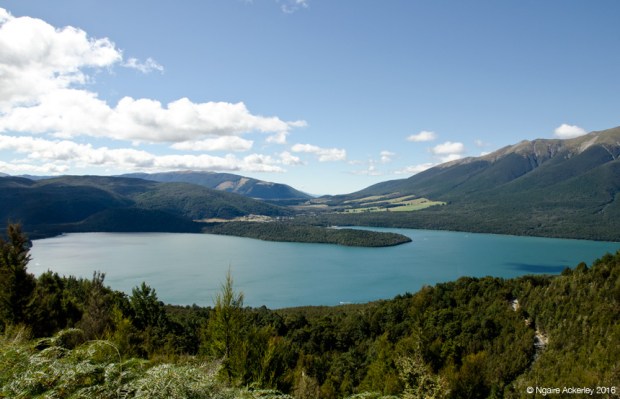 Viewpoint overlooking Nelson Lakes