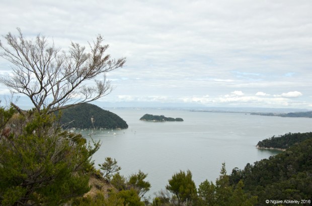 View along Abel Tasman National Park