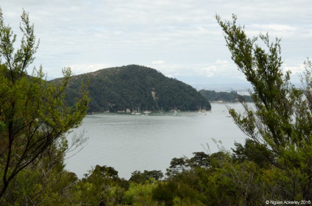Abel Tasman National Park