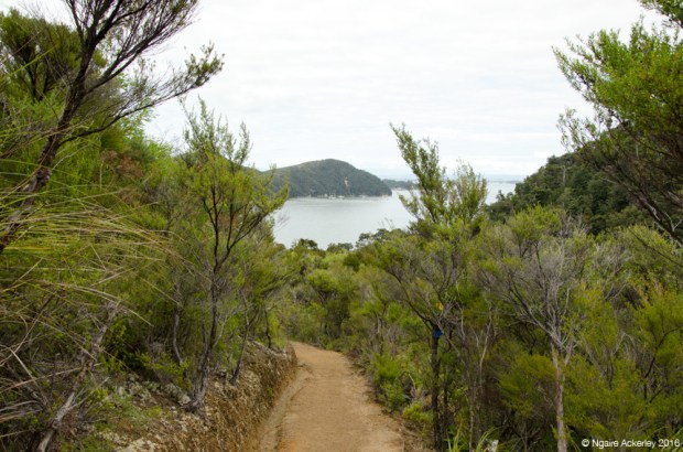 Walking track from Watering Cove to Marahau