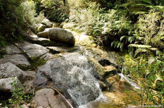 Waterfall along the track