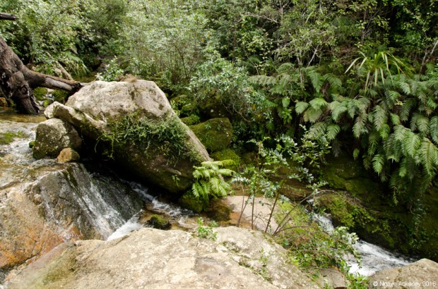 Waterfall, Abel Tasman National Park