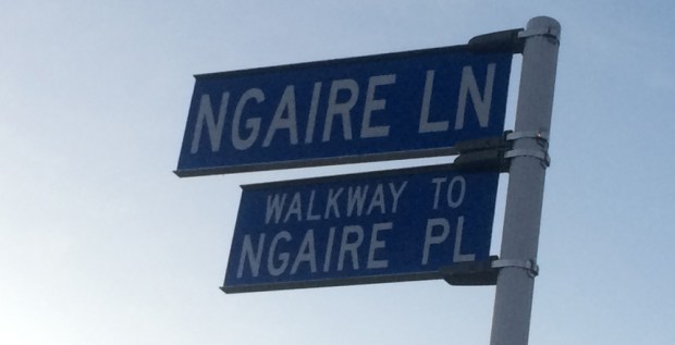 Street signs in nelson