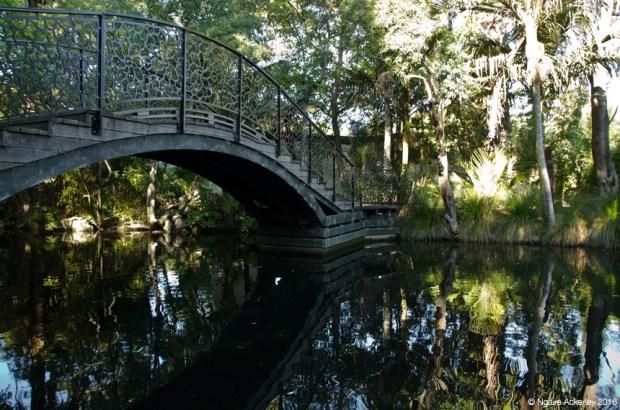 Queens Gardens, Nelson