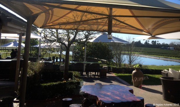 View over the Tea Estate from our window