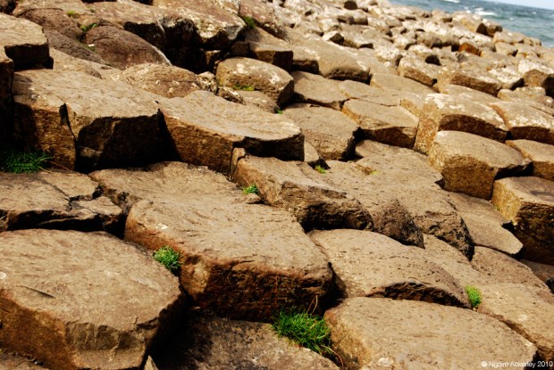 The Giants Causeway, Northern Ireland