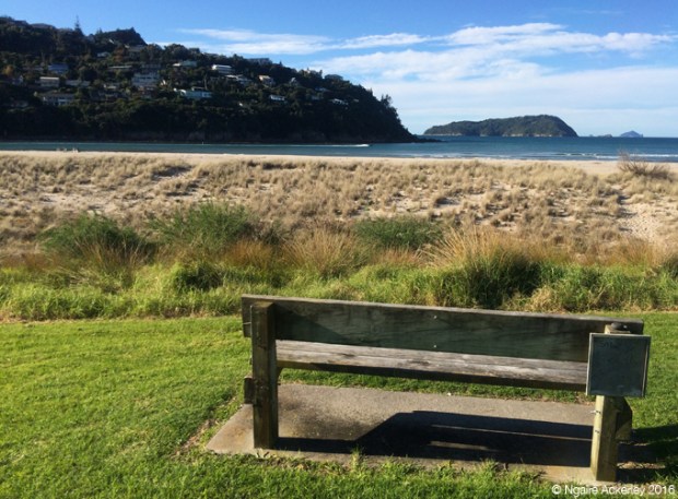 Park bench at Pauanui beach