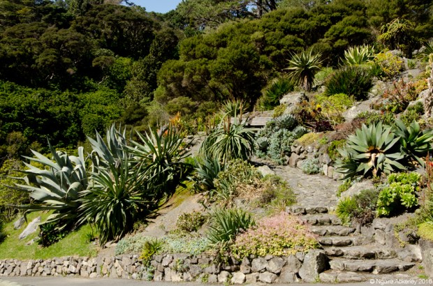 Botanical Gardens, Wellington