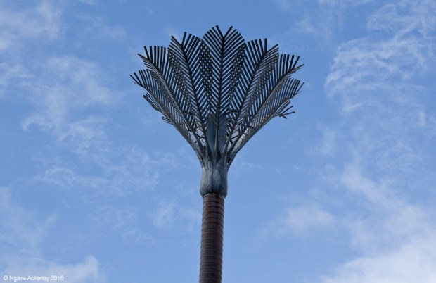 Nikau, Civic Square, Wellington