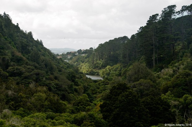 Landscape of Zealandia