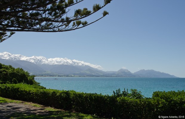 Kaikoura, New Zealand