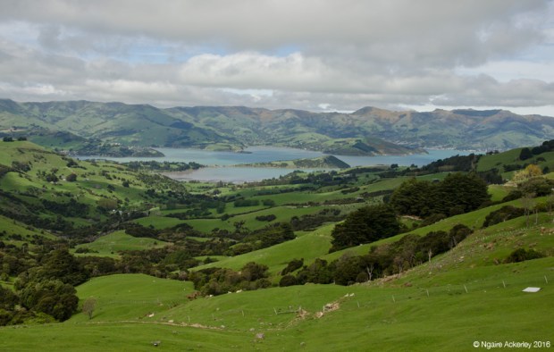 View over Akaroa