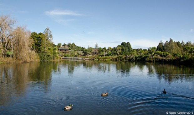 Auckland Botanic Gardens on a sunny Autumn day