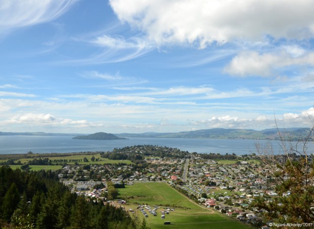 Rotorua from the Skyline Gondola