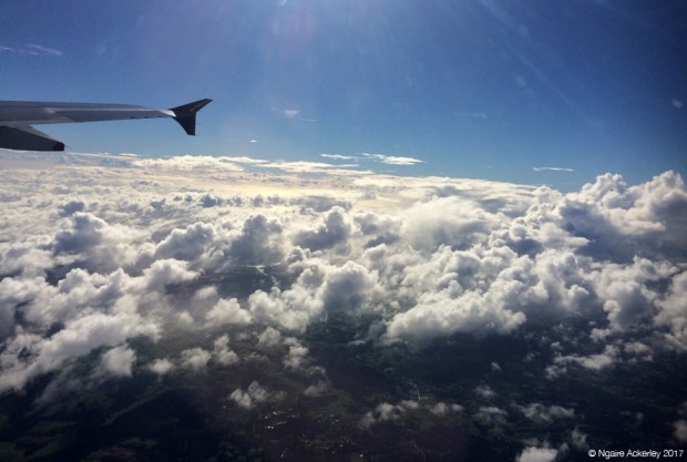 Flight from Auckland to Cairns