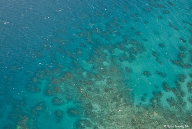 Flying over Great Barrier Reef